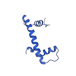 0586_6o1d_B_v1-5
Cryo-EM structure of the centromeric nucleosome with native alpha satellite DNA