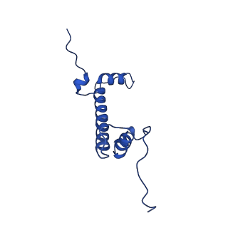 0586_6o1d_C_v1-5
Cryo-EM structure of the centromeric nucleosome with native alpha satellite DNA