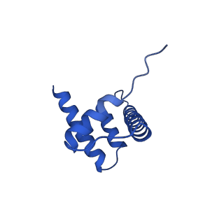 0586_6o1d_D_v1-5
Cryo-EM structure of the centromeric nucleosome with native alpha satellite DNA