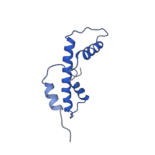 0586_6o1d_E_v1-4
Cryo-EM structure of the centromeric nucleosome with native alpha satellite DNA