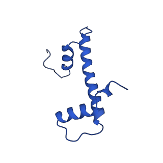 0586_6o1d_F_v1-5
Cryo-EM structure of the centromeric nucleosome with native alpha satellite DNA