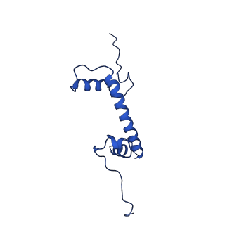 0586_6o1d_G_v1-4
Cryo-EM structure of the centromeric nucleosome with native alpha satellite DNA