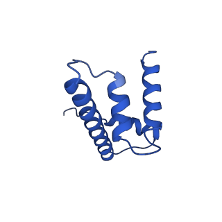 0586_6o1d_H_v1-4
Cryo-EM structure of the centromeric nucleosome with native alpha satellite DNA
