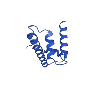 0586_6o1d_H_v1-5
Cryo-EM structure of the centromeric nucleosome with native alpha satellite DNA