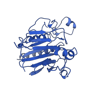 0590_6o1k_A_v1-1
Architectural principles for Hfq/Crc-mediated regulation of gene expression. Hfq-Crc-amiE 2:2:2 complex (core complex)