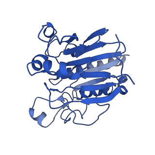 0590_6o1k_B_v1-1
Architectural principles for Hfq/Crc-mediated regulation of gene expression. Hfq-Crc-amiE 2:2:2 complex (core complex)