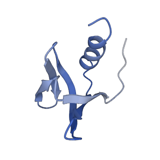 0590_6o1k_E_v1-1
Architectural principles for Hfq/Crc-mediated regulation of gene expression. Hfq-Crc-amiE 2:2:2 complex (core complex)