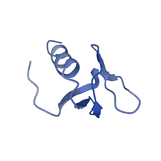 0590_6o1k_G_v1-1
Architectural principles for Hfq/Crc-mediated regulation of gene expression. Hfq-Crc-amiE 2:2:2 complex (core complex)