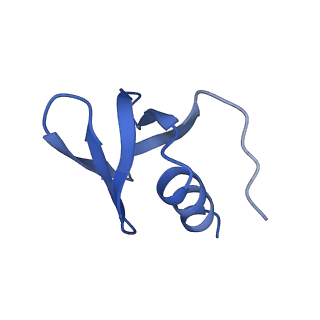 0590_6o1k_L_v1-1
Architectural principles for Hfq/Crc-mediated regulation of gene expression. Hfq-Crc-amiE 2:2:2 complex (core complex)