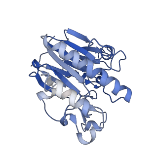 0591_6o1l_A_v1-1
Architectural principles for Hfq/Crc-mediated regulation of gene expression Hfq-Crc-amiE 2:3:2 complex