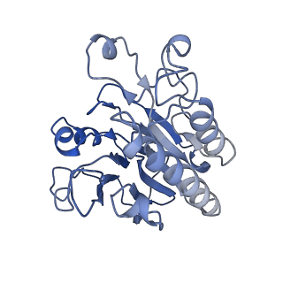 0591_6o1l_B_v1-1
Architectural principles for Hfq/Crc-mediated regulation of gene expression Hfq-Crc-amiE 2:3:2 complex