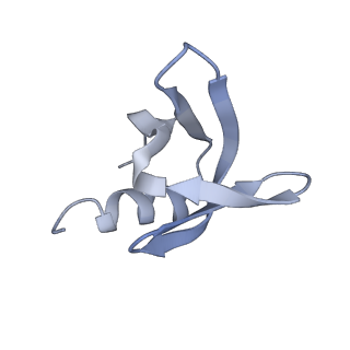 0591_6o1l_C_v1-1
Architectural principles for Hfq/Crc-mediated regulation of gene expression Hfq-Crc-amiE 2:3:2 complex