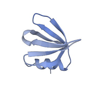 0591_6o1l_D_v1-1
Architectural principles for Hfq/Crc-mediated regulation of gene expression Hfq-Crc-amiE 2:3:2 complex