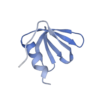 0591_6o1l_H_v1-1
Architectural principles for Hfq/Crc-mediated regulation of gene expression Hfq-Crc-amiE 2:3:2 complex