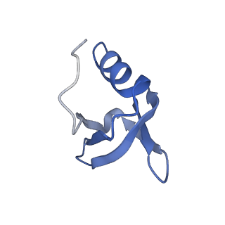 0591_6o1l_I_v1-1
Architectural principles for Hfq/Crc-mediated regulation of gene expression Hfq-Crc-amiE 2:3:2 complex