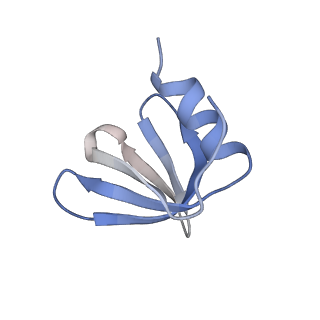 0591_6o1l_J_v1-1
Architectural principles for Hfq/Crc-mediated regulation of gene expression Hfq-Crc-amiE 2:3:2 complex