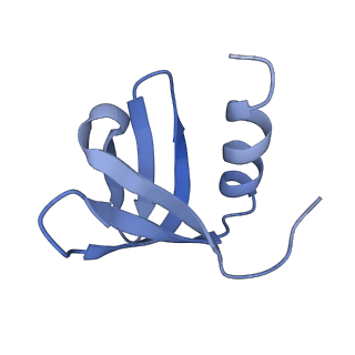 0591_6o1l_K_v1-1
Architectural principles for Hfq/Crc-mediated regulation of gene expression Hfq-Crc-amiE 2:3:2 complex