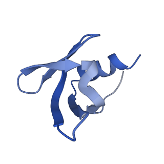 0591_6o1l_L_v1-1
Architectural principles for Hfq/Crc-mediated regulation of gene expression Hfq-Crc-amiE 2:3:2 complex