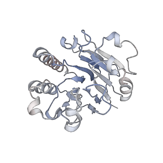 0591_6o1l_R_v1-1
Architectural principles for Hfq/Crc-mediated regulation of gene expression Hfq-Crc-amiE 2:3:2 complex