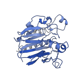 0592_6o1m_A_v1-1
Architectural principles for Hfq/Crc-mediated regulation of gene expression. Hfq-Crc-amiE 2:4:2 complex