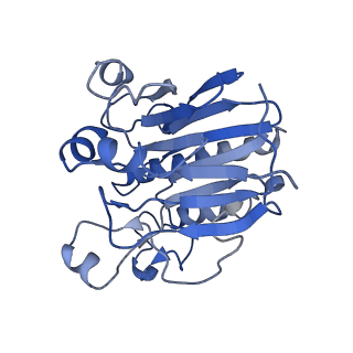 0592_6o1m_B_v1-1
Architectural principles for Hfq/Crc-mediated regulation of gene expression. Hfq-Crc-amiE 2:4:2 complex