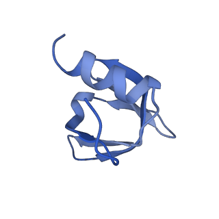 0592_6o1m_C_v1-1
Architectural principles for Hfq/Crc-mediated regulation of gene expression. Hfq-Crc-amiE 2:4:2 complex