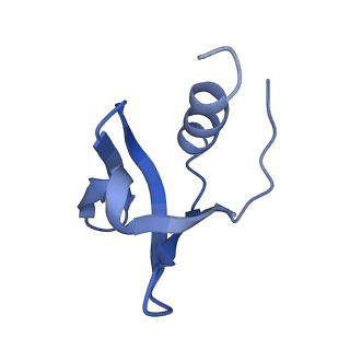 0592_6o1m_E_v1-1
Architectural principles for Hfq/Crc-mediated regulation of gene expression. Hfq-Crc-amiE 2:4:2 complex