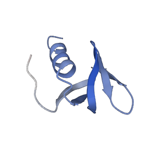 0592_6o1m_G_v1-1
Architectural principles for Hfq/Crc-mediated regulation of gene expression. Hfq-Crc-amiE 2:4:2 complex