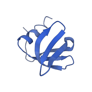 0592_6o1m_H_v1-1
Architectural principles for Hfq/Crc-mediated regulation of gene expression. Hfq-Crc-amiE 2:4:2 complex