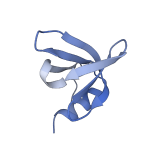 0592_6o1m_J_v1-1
Architectural principles for Hfq/Crc-mediated regulation of gene expression. Hfq-Crc-amiE 2:4:2 complex