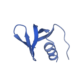 0592_6o1m_L_v1-0
Architectural principles for Hfq/Crc-mediated regulation of gene expression. Hfq-Crc-amiE 2:4:2 complex
