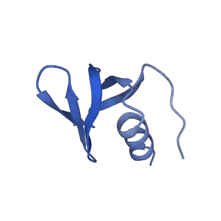 0592_6o1m_L_v1-1
Architectural principles for Hfq/Crc-mediated regulation of gene expression. Hfq-Crc-amiE 2:4:2 complex