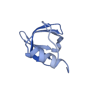 0592_6o1m_M_v1-1
Architectural principles for Hfq/Crc-mediated regulation of gene expression. Hfq-Crc-amiE 2:4:2 complex