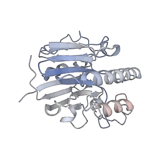 0592_6o1m_R_v1-0
Architectural principles for Hfq/Crc-mediated regulation of gene expression. Hfq-Crc-amiE 2:4:2 complex