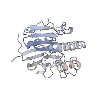 0592_6o1m_R_v1-1
Architectural principles for Hfq/Crc-mediated regulation of gene expression. Hfq-Crc-amiE 2:4:2 complex