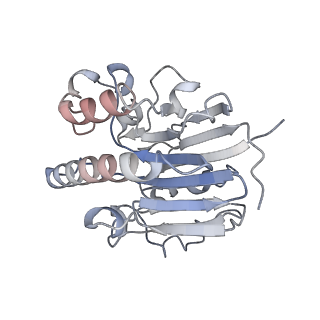 0592_6o1m_S_v1-1
Architectural principles for Hfq/Crc-mediated regulation of gene expression. Hfq-Crc-amiE 2:4:2 complex