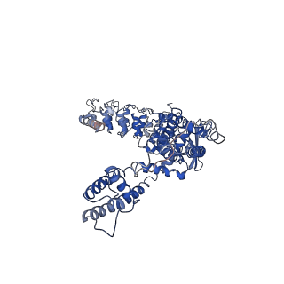 0593_6o1n_B_v1-4
Cryo-EM structure of TRPV5 (1-660) in nanodisc