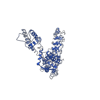 0593_6o1n_C_v1-4
Cryo-EM structure of TRPV5 (1-660) in nanodisc