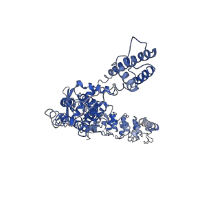 0593_6o1n_D_v1-3
Cryo-EM structure of TRPV5 (1-660) in nanodisc