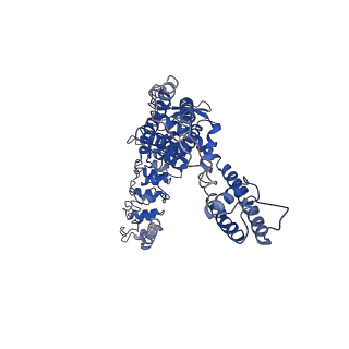 0594_6o1p_A_v1-3
Cryo-EM structure of full length TRPV5 in nanodisc