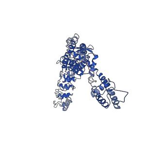 0594_6o1p_A_v1-4
Cryo-EM structure of full length TRPV5 in nanodisc