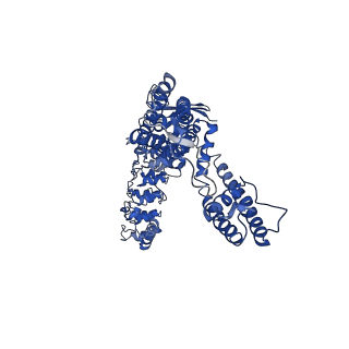 0605_6o1u_A_v1-3
Cryo-EM structure of TRPV5 W583A in nanodisc