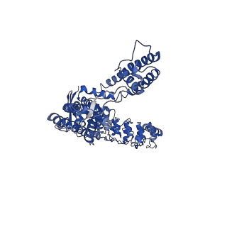 0605_6o1u_B_v1-3
Cryo-EM structure of TRPV5 W583A in nanodisc