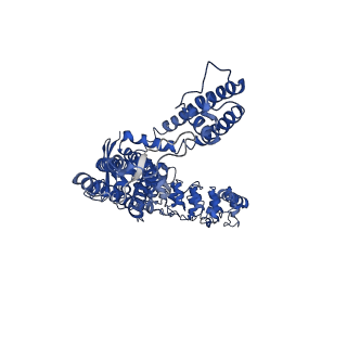 0605_6o1u_B_v1-4
Cryo-EM structure of TRPV5 W583A in nanodisc