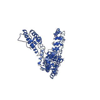 0605_6o1u_C_v1-3
Cryo-EM structure of TRPV5 W583A in nanodisc