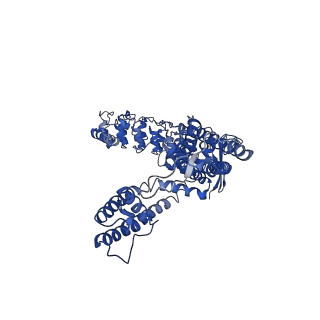 0605_6o1u_D_v1-4
Cryo-EM structure of TRPV5 W583A in nanodisc