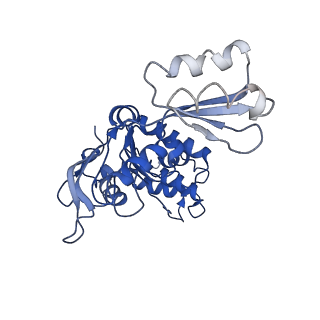 12685_7o10_B_v1-1
ABC transporter NosDFY, nucleotide-free in GDN, R-domain 2