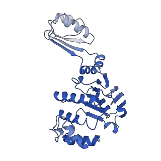 12685_7o10_C_v1-1
ABC transporter NosDFY, nucleotide-free in GDN, R-domain 2