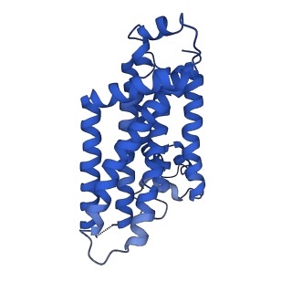 12685_7o10_D_v1-1
ABC transporter NosDFY, nucleotide-free in GDN, R-domain 2