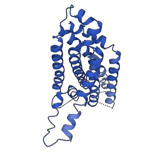 12685_7o10_E_v1-1
ABC transporter NosDFY, nucleotide-free in GDN, R-domain 2